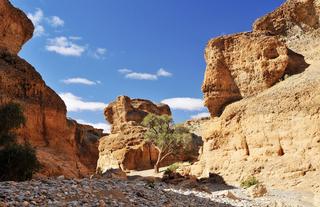 Sesriem Canyon 